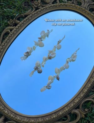 Image of Sally’s Seashells (Unity)