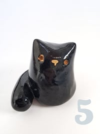 Image 6 of Just a Kitty