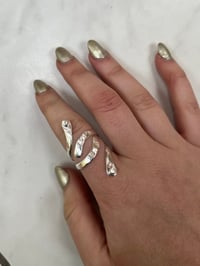 Image 2 of Whimsy Vine 