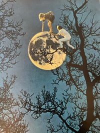 Image 2 of Moon picking 