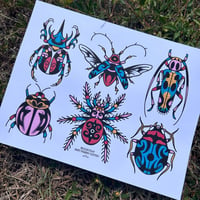 BUGS PRINT