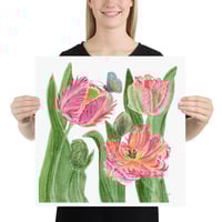 Image 4 of Parrot Tulips- Poster Print