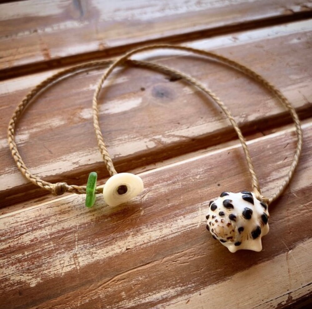 Image of Spotted drupe shell necklace