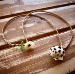 Image of Spotted drupe shell necklace