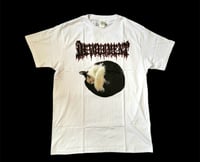 Image 2 of Devourment - Meowlesting The Decapitated 