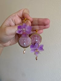 Image 3 of 💜Violet Orchid Shells💜