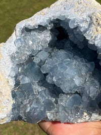 Image 8 of Celestite Crystal Statement Piece #1234