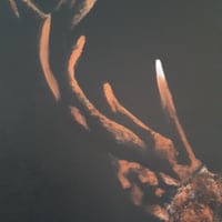 Image 4 of Textured Watcher