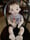 Image of Perry, 32” Toddler Boy