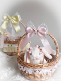 Image 1 of Pink Petal Bunny & Basket Set