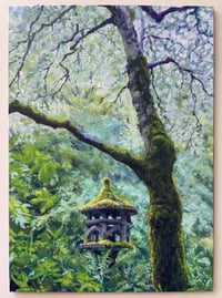 Variegated Pagoda Dogwood