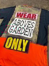 Image 4 of 209. RACE TO THE GARDEN 