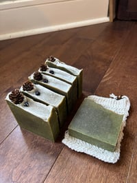 Image 1 of Balsam Cedar