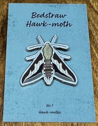 Image 1 of Bedstraw Hawk-moth - No.1 - Hawk-moths Series
