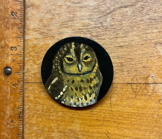 Image of Small owl brooch 