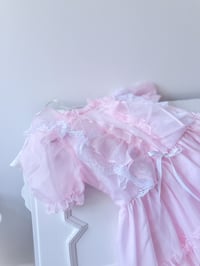 Image 2 of Ruffled Fancy - 6 years 