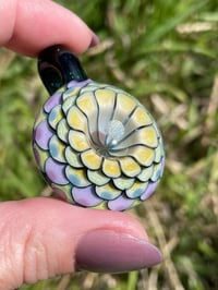 Image 2 of Lime Spring 