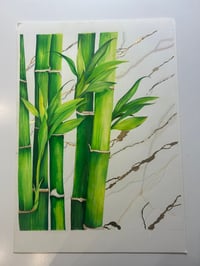 Image 1 of Bamboo