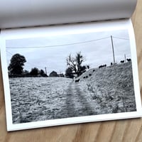 Image 8 of Damien Wooten - The Killing Ditch (Signed)