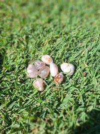 Image 2 of Flower Agate Tumbles