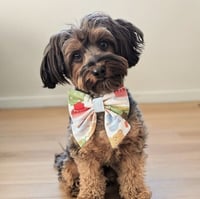 Image 2 of TEDDY TEA PAWTY SAILOR BOW