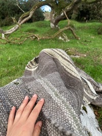 Image 4 of Made to Order: Mugwort Dreaming