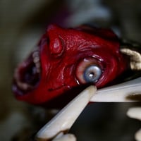 Image 8 of Egg of the King bleeding eyes pendant, adjustable cord, OOAK,