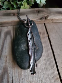 Image 2 of Real Feather (#2)