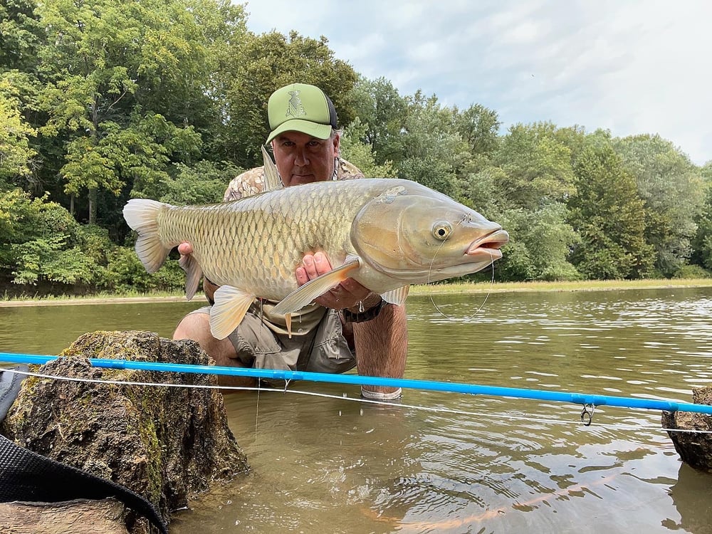 Carp Stalker's Sinking Mulberry 