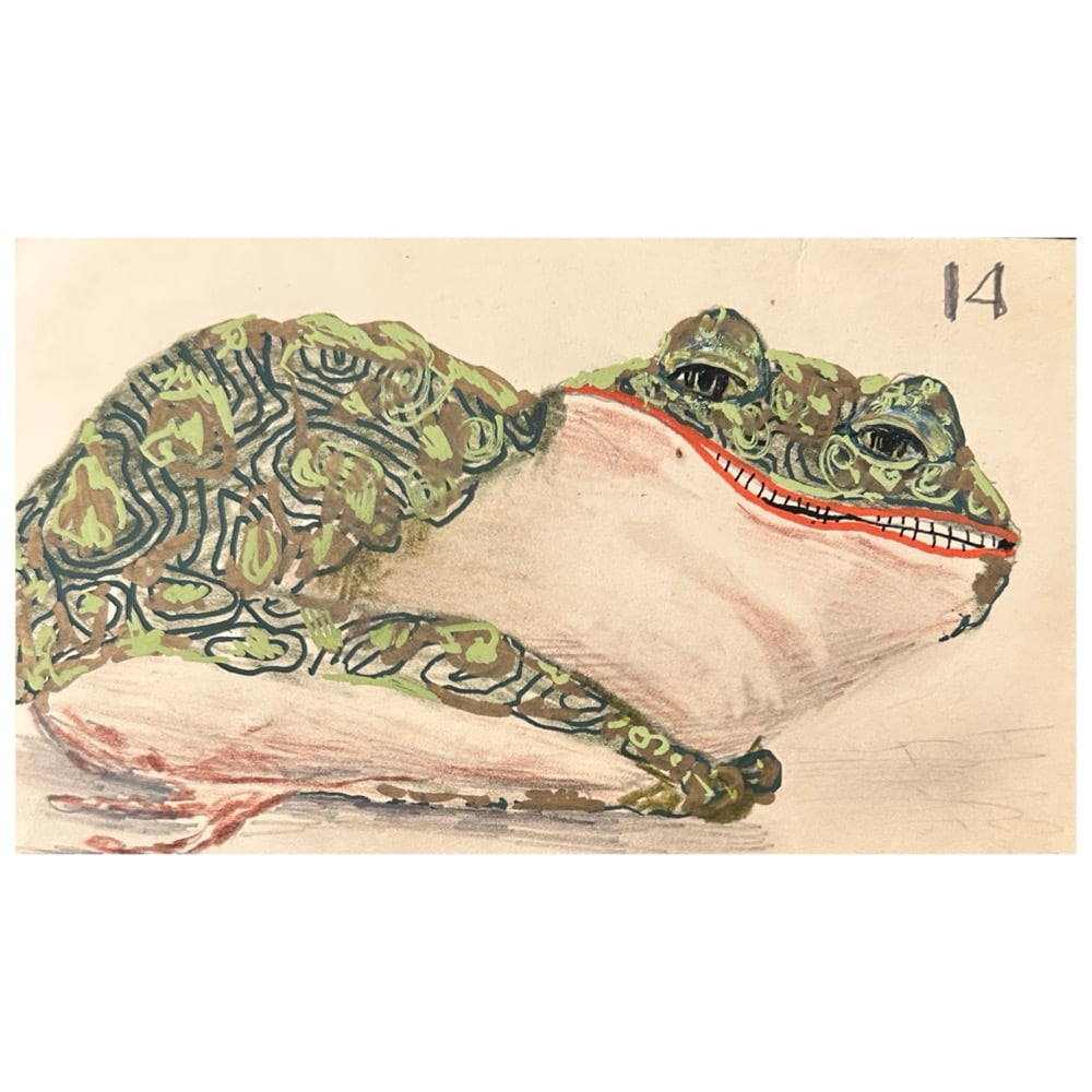 Image of 14. ( frog ) 