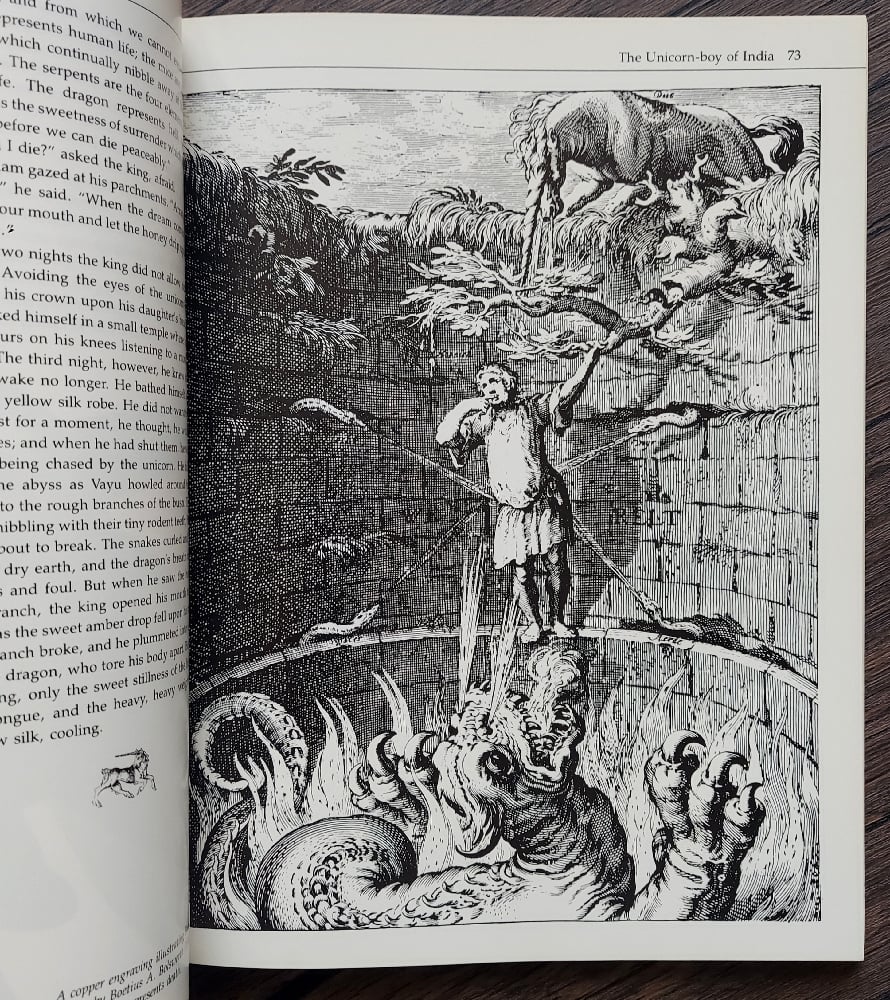 The Unicorn, by Nancy Hathaway