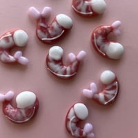Image 1 of Fused glass shrimp magnets