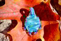 Image 4 of Ocean Paw