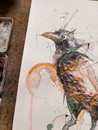 Image 2 of Corbeau 