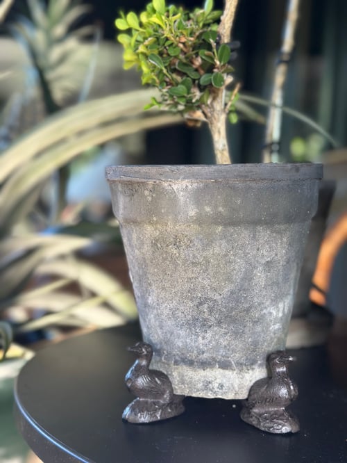 Image of Cast Iron Duck pot Feet Set of 3