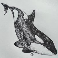Image 3 of Milkyway Orca 