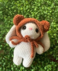 Image 2 of Bunny with Bear Hood
