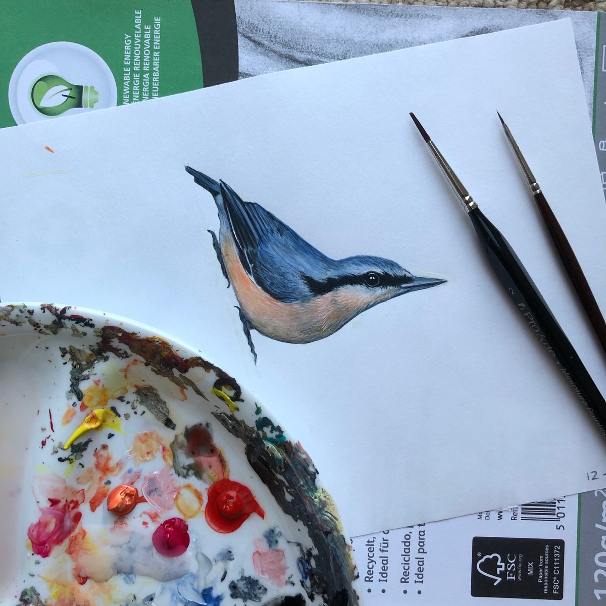 Image of Nigel Nuthatch ~ Removable Wall sticker