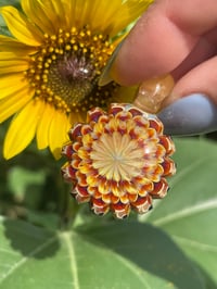 Image 9 of mini marigold