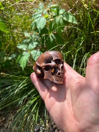 Image 2 of large Lignum Vitae Skull