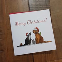 Festive Pets