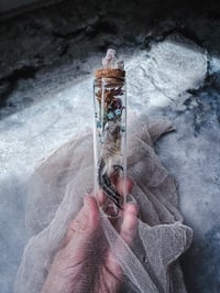 Image 1 of Grouse foot w/ Topaz  cluster 