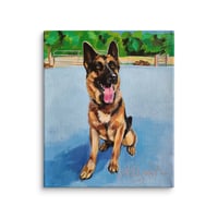 Image 3 of German Shepherd