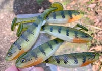 Image 1 of 5" G5 HAND POURED SWIMBAITS - BESPIN PERCH