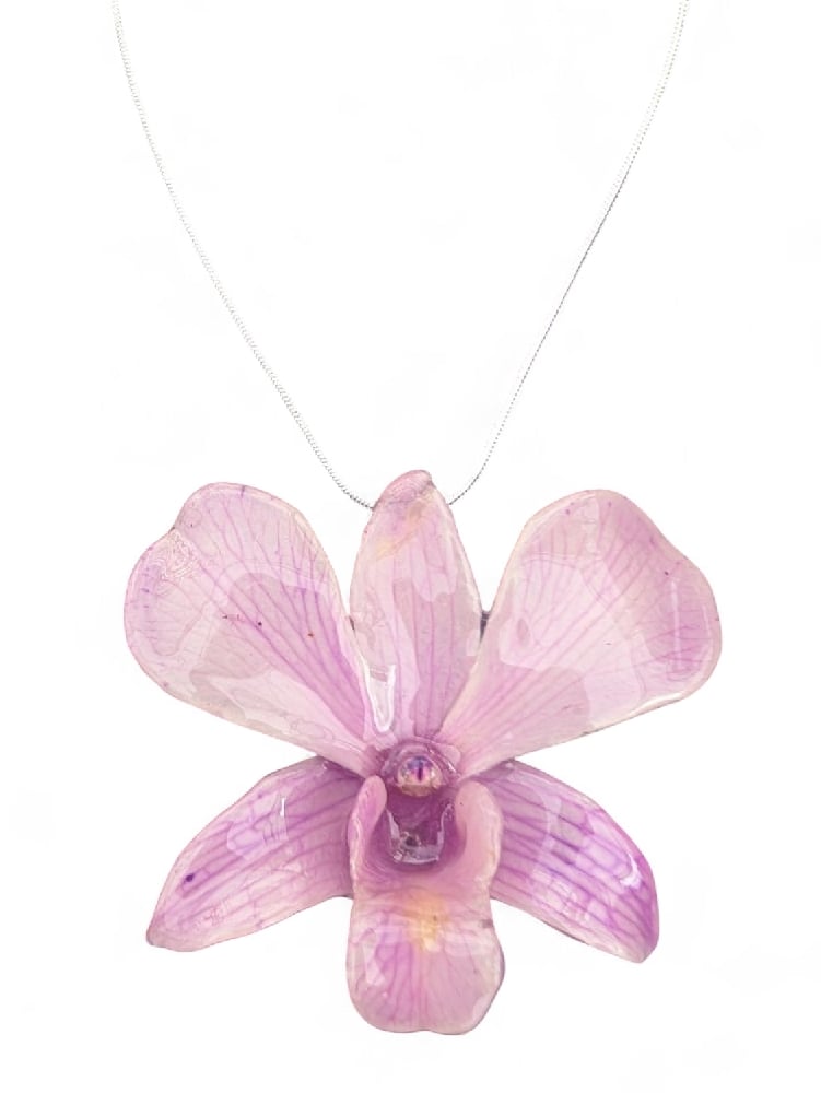 Image of Dendrobium Orchid Pendants (Purples)
