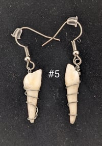Image 5 of Assorted Small Animal Teeth Earrings