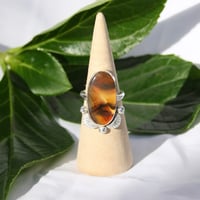 Image 1 of Montana Agate Ring