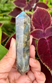 Image 5 of Labradorite Double Terminated Crystal Point Wands