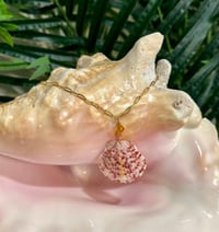 Image 2 of Scallop Shell Necklace N192