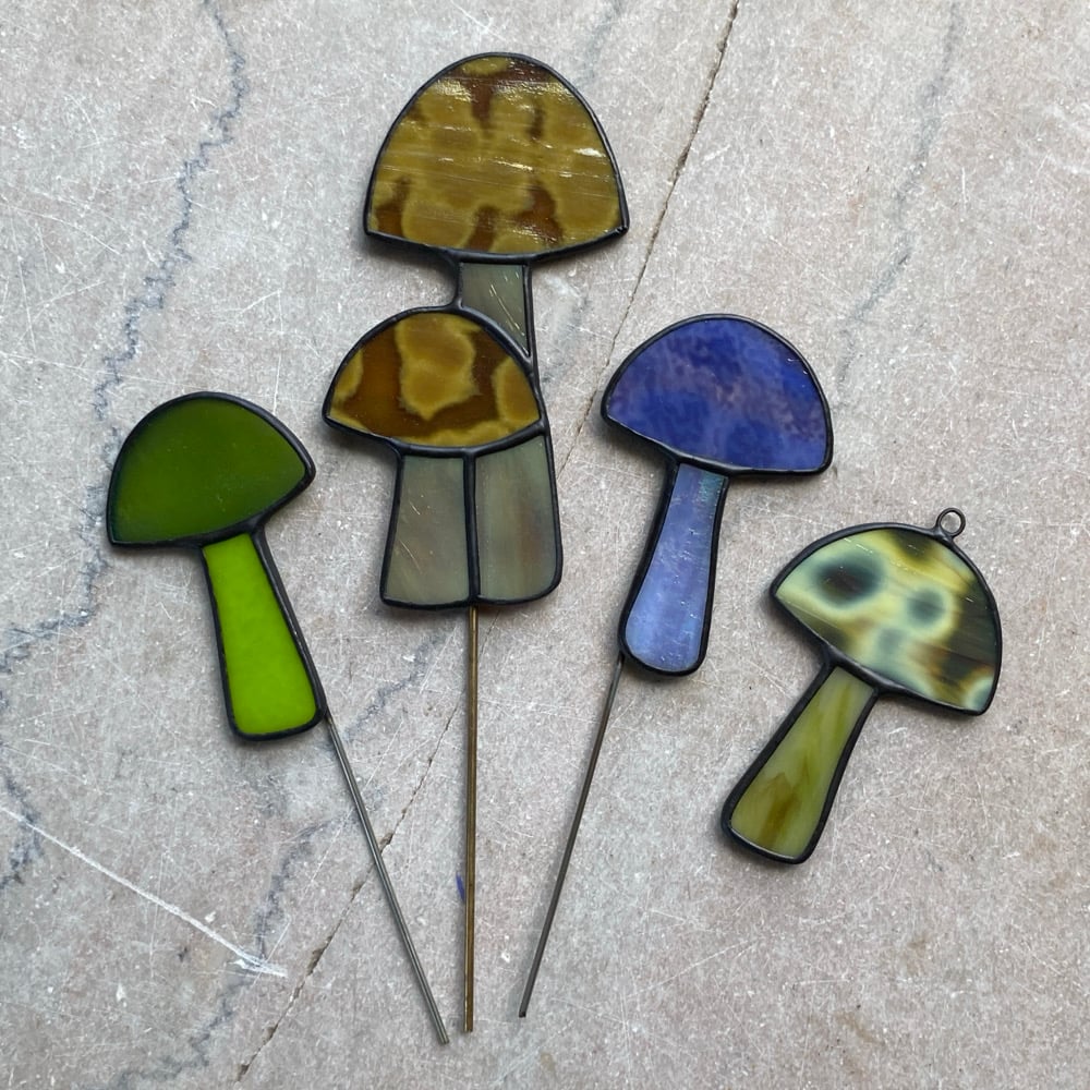 Image of Mushrooms